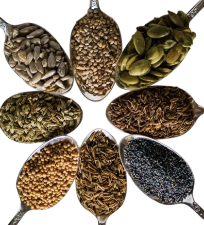 seed removebg preview